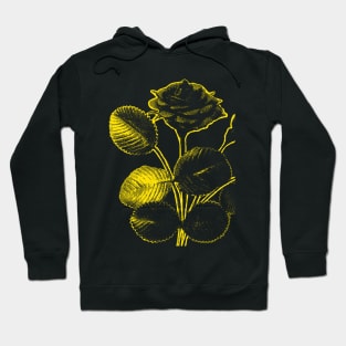 Rosa de Pelagio Black Rose Yellow Outline Image Hoodie